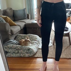 Everlane High Waisted Skinny (Stretch)